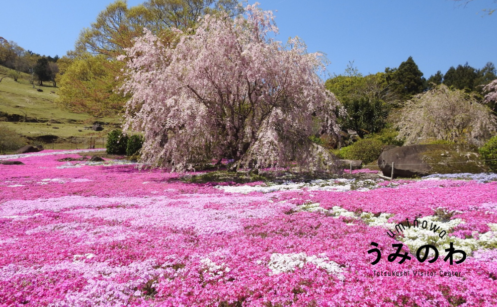 4ee9f26b4b5cff4b005fcd172bd1d7