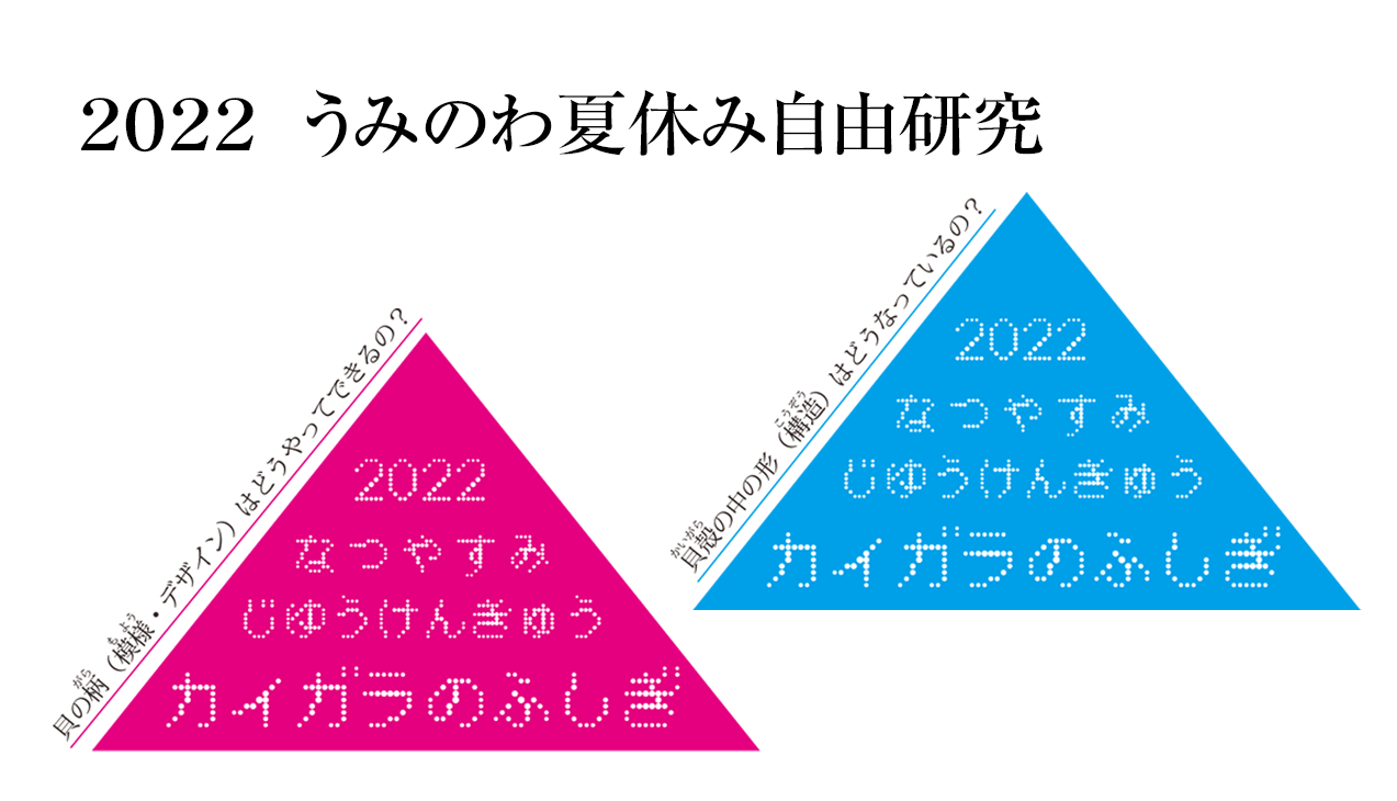 夏休みの自由研究】カイガラのふしぎ|土佐清水ジオパーク公式サイト