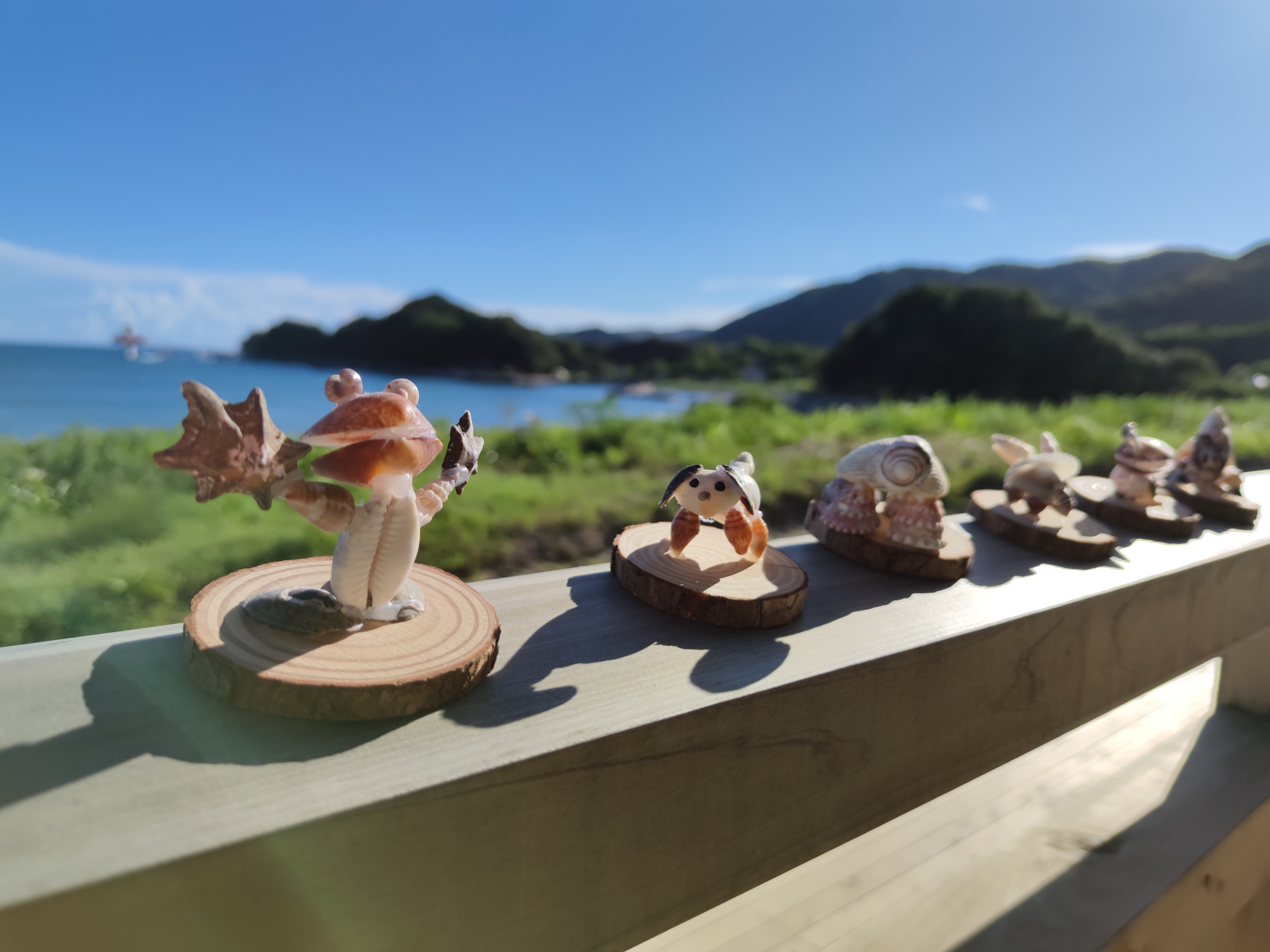 regalo del mar 〜海からの贈り物でオブジェを作ろう〜|土佐清水