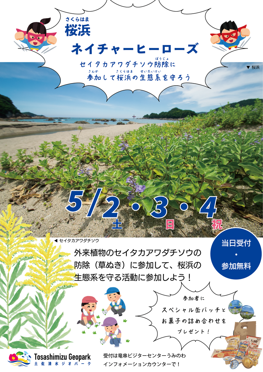 seitaka_event_chirashi_2026.png